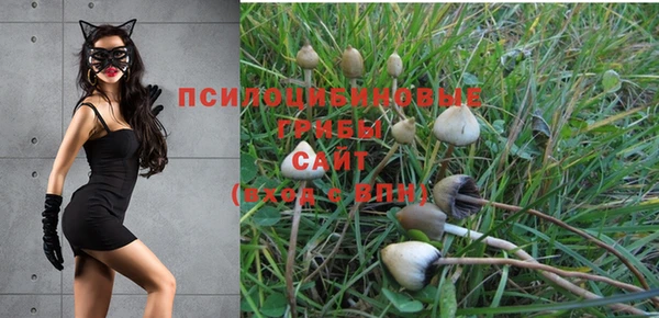 синтетический гашиш Мегион