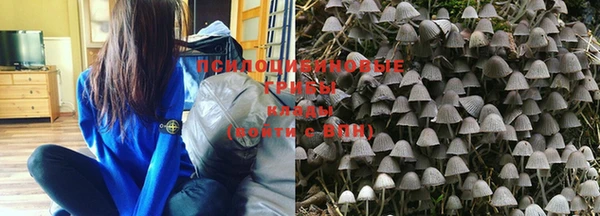 экстази Медвежьегорск