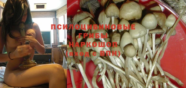 таблы Медногорск