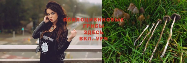 таблы Медногорск