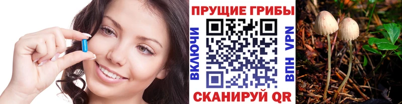 сколько стоит Октябрьск Псилоцибиновые грибы Magic Shrooms
