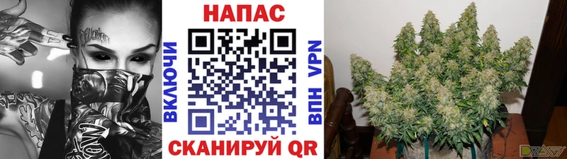 Бошки марихуана VHQ  хочу   Октябрьск 